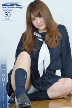 金瓶玉梅
