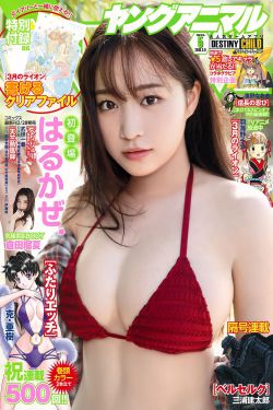办公室欲女HD中字