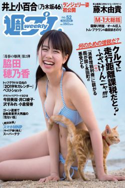 铁甲威虫之骑刃王