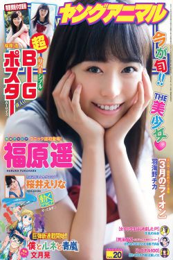 花房姑娘电视剧免费播放